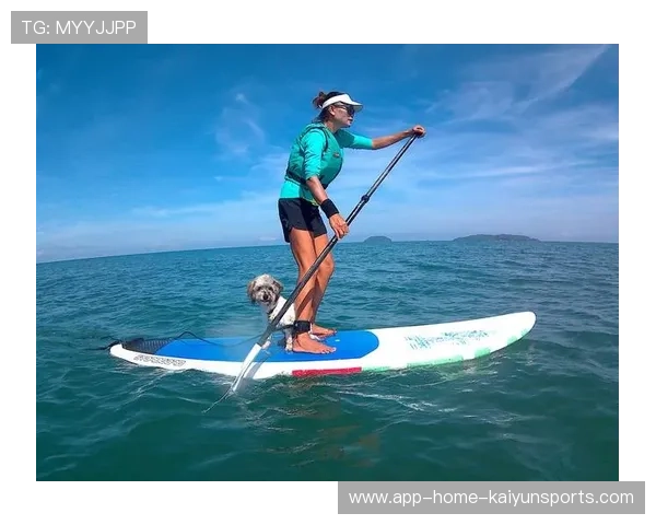 桨板运动员被大浪拍翻后骑回水面