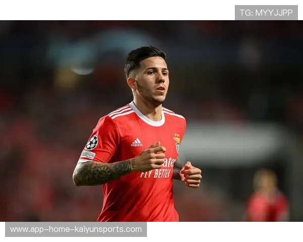 本菲卡年轻中场的冷静之光：赛场上的智慧与沉稳