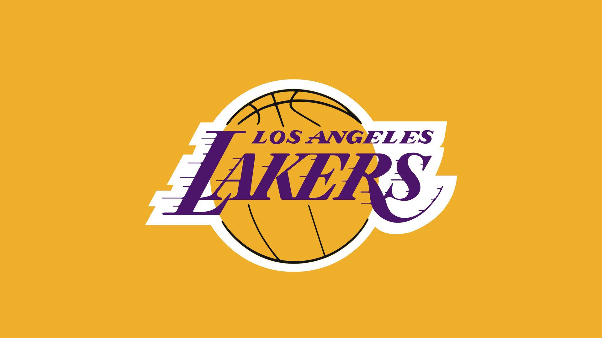 世界杯志愿者招募启动，世俱杯志愿者申请