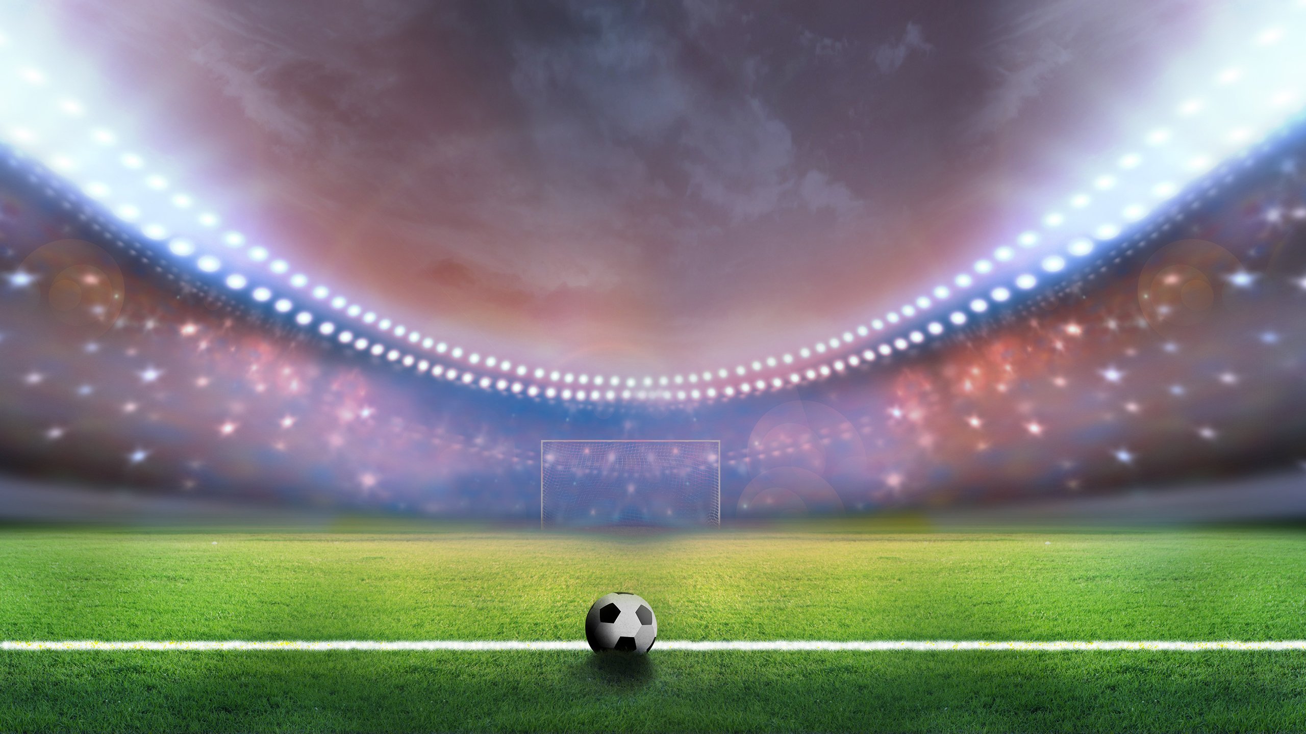 国际体能训练数据合规工具行业实践手册第九版征稿启动，国际运动体适能协会